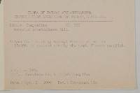 紫花霍香薊藏品圖，第2張