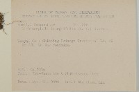 茯苓菜藏品圖，第2張