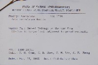 青楓藏品圖，第2張