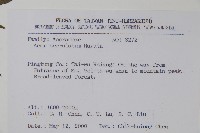 青楓藏品圖，第2張