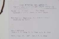 小錦蘭藏品圖，第2張