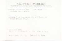 亨利氏伊立基藤藏品圖，第2張