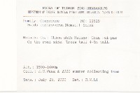 燈台樹藏品圖，第2張