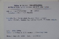 著生珊瑚樹藏品圖，第2張