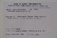 高山莢迷藏品圖，第2張