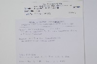 絨毛芙蓉蘭藏品圖，第2張