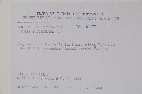 木蠟樹、山漆藏品圖，第2張