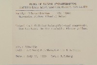 草珊瑚、紅果金粟蘭藏品圖，第2張