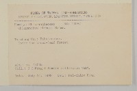 臺灣及己藏品圖，第2張