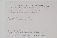 異葉馬兜鈴藏品圖，第2張