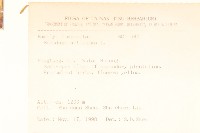 北美一枝黃花藏品圖，第2張