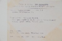 平伏莖白花菜、成功白花菜藏品圖，第2張