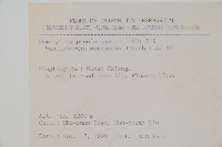 細葉蘭花參藏品圖，第2張