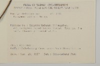 菱葉衛矛藏品圖，第2張