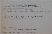 紅子莢迷藏品圖，第2張