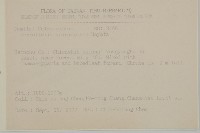 佩羅特木藏品圖，第2張