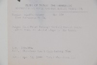 糊樗藏品圖，第2張