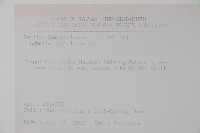 普刺特草藏品圖，第2張