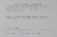 圓果秋海棠藏品圖，第2張