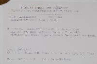 華八角楓藏品圖，第2張