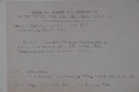 無梗忍冬藏品圖，第2張