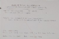 臺灣藤漆藏品圖，第2張