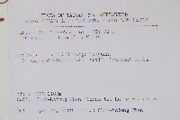 大葉馬兜鈴藏品圖，第2張