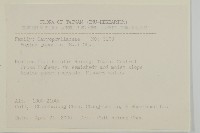 瓜槌草、漆姑草藏品圖，第2張