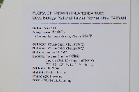 爬森藤藏品圖，第2張