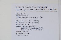 武靴藤藏品圖，第2張