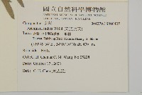 野艾蒿藏品圖，第2張