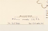 小花蔓澤蘭藏品圖，第3張