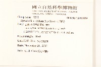 金腰箭藏品圖，第2張