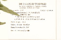 鵝仔草藏品圖，第2張