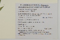 狗筋蔓藏品圖，第2張