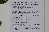 臺灣蝴蝶戲珠花、臺灣蝴蝶花藏品圖，第2張