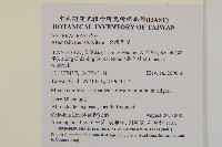 臺灣馬蘭藏品圖，第2張