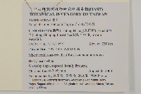 玉山抱莖籟簫藏品圖，第2張