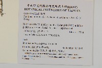 石胡荽、吐金草藏品圖，第2張