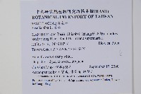 落葵藏品圖，第4張