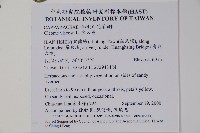 向天黃藏品圖，第2張