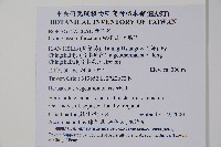 琉璃草藏品圖，第2張