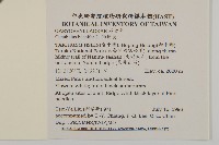 狗筋蔓藏品圖，第2張