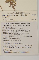 玉山抱莖籟簫藏品圖，第2張