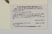 臺灣馬蘭藏品圖，第2張