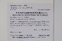 臺灣小蘗藏品圖，第2張