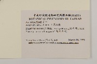 臺灣馬蘭藏品圖，第2張