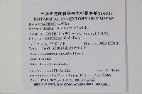 鹿谷秋海棠藏品圖，第2張