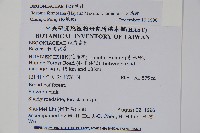 水鴨腳藏品圖，第2張