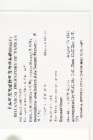 山柿, 山豆柿藏品圖，第2張